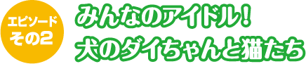 エピソードその２みんなのアイドル！犬のダイちゃんと猫たち
